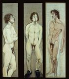 3 Academic Male Nudes